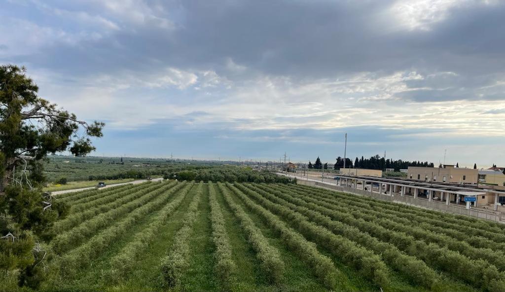 Villa Nascente Bitetto エクステリア 写真